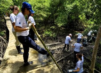 THAÏLANDE – FRANCE : Bangkok Accueil mobilisé pour nettoyer les mangroves