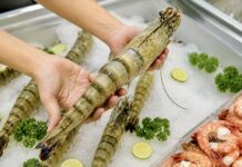Crevettes Vietnam