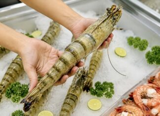 VIETNAM – ÉCONOMIE : La Chine devient le principal moteur des exportations de crevettes vietnamiennes Crevettes Vietnam