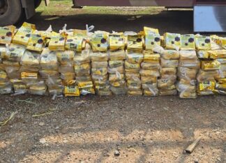 LAOS – SOCIÉTÉ : Plus de 4 000 arrestations dans la lutte contre le trafic de drogue