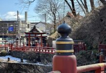 JAPON – TOURISME : La baisse des visiteurs chinois ne freine pas les recettes