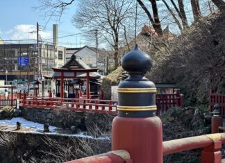 JAPON – TOURISME : La baisse des visiteurs chinois ne freine pas les recettes