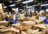 VIETNAM – ÉCONOMIE : Le bois vietnamien face au défi des nouvelles normes internationales Usine à bois Vietnam
