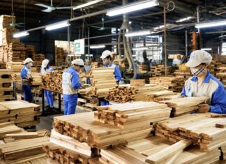 VIETNAM – ÉCONOMIE : Le bois vietnamien face au défi des nouvelles normes internationales Usine à bois Vietnam