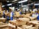 VIETNAM – ÉCONOMIE : Le bois vietnamien face au défi des nouvelles normes internationales Usine à bois Vietnam