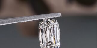 VIETNAM – SOCIÉTÉ : L’affaire de contrebande de diamants s’élargit