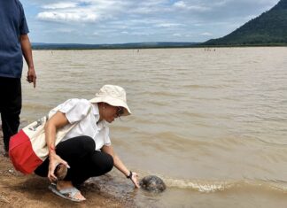 THAÏLANDE – HISTOIRE : La baisse des eaux révèle une nécropole vieille de 2 400 ans dans le nord-est du pays