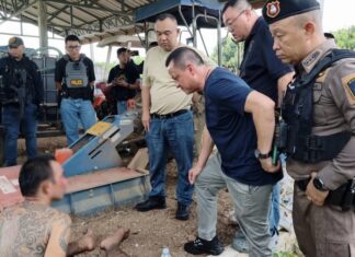 THAÏLANDE – CRIME : Après cinq jours de traque, deux suspects avouent le meurtre des deux jeunes Russes
