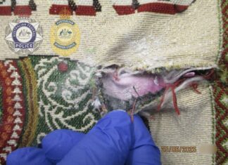 THAÏLANDE – SOCIÉTÉ : L’enquête sur l’hôtesse de Thai Airways s’oriente vers un trafic international de drogue