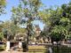 THAÏLANDE – CHRONIQUE : Non, la Thaïlande n’était pas mieux avant…