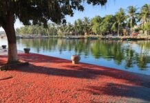 VIETNAM – TOURISME : Deuxième volet de notre escapade à Hoi An (2/3)