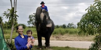 THAÏLANDE – CHRONIQUE : Au pays des éléphants et des épiceries ambulantes de l’Isaan