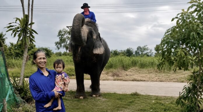 THAÏLANDE – CHRONIQUE : Au pays des éléphants et des épiceries ambulantes de l’Isaan