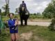 THAÏLANDE – CHRONIQUE : Au pays des éléphants et des épiceries ambulantes de l’Isaan