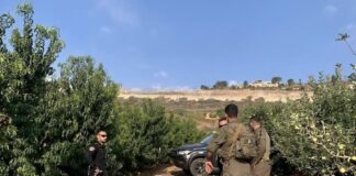 ISRAËL – THAÏLANDE : Six ouvriers thaïlandais blessés par une munition près de la frontière libanaise