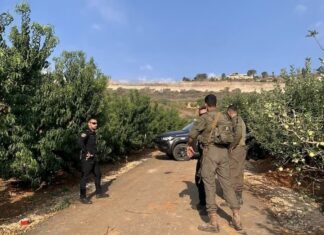 ISRAËL – THAÏLANDE : Six ouvriers thaïlandais blessés par une munition près de la frontière libanaise
