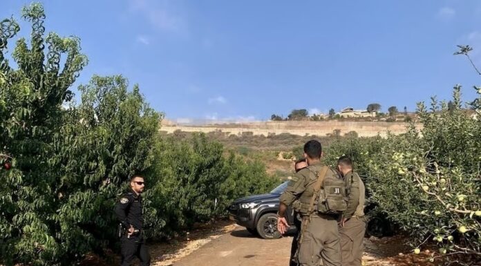 ISRAËL – THAÏLANDE : Six ouvriers thaïlandais blessés par une munition près de la frontière libanaise