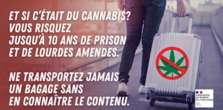 THAÏLANDE – FRANCE : Cannabis, l’ambassade met en garde les Français contre les réseaux de passeurs