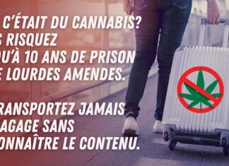 THAÏLANDE – FRANCE : Cannabis, l’ambassade met en garde les Français contre les réseaux de passeurs
