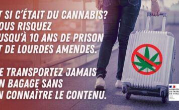 THAÏLANDE – FRANCE : Cannabis, l’ambassade met en garde les Français contre les réseaux de passeurs