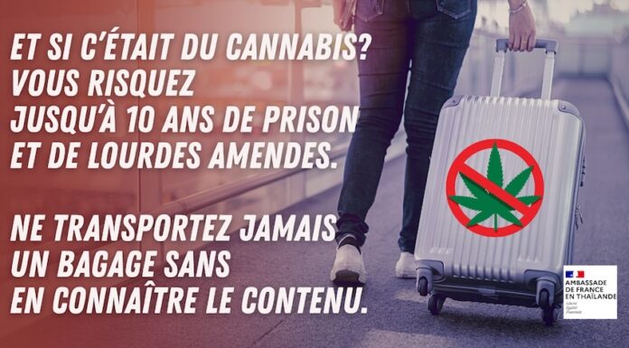 THAÏLANDE – FRANCE : Cannabis, l’ambassade met en garde les Français contre les réseaux de passeurs