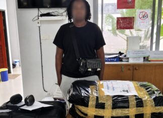 THAÏLANDE – FRANCE : Les médias français sonnent l’alarme sur les onze Français détenus pour trafic de cannabis