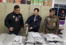 THAÏLANDE – CANNABIS : Deux Français et deux Suisses arrêtés à Phuket