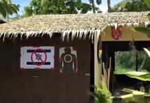 KOH SAMUI – FRANCE : Après la polémique du parc animalier, un incendie touche une propriété familiale à Villeurbanne