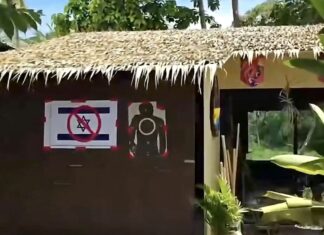 KOH SAMUI – FRANCE : Après la polémique du parc animalier, un incendie touche une propriété familiale à Villeurbanne
