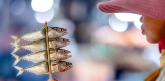 CAMBODGE – CULTURE : Kep à travers l’objectif d’Aurélie Fischer