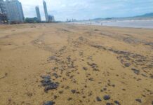 THAÏLANDE – ENVIRONNEMENT : Pollution aux hydrocarbures à Jomtien, baignade déconseillée pendant sept jours
