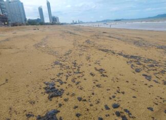 THAÏLANDE – ENVIRONNEMENT : Pollution aux hydrocarbures à Jomtien, baignade déconseillée pendant sept jours