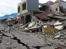 INDONÉSIE – SÉISME : Au moins 47 morts après le puissant tremblement de terre de Flores