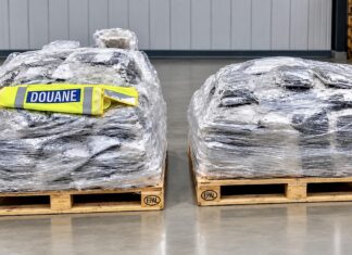 THAÏLANDE – FRANCE : La Réunion intercepte 140 kg de cannabis partis de Bangkok