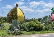 VIETNAM – ÉCONOMIE : Le Vietnam veut détrôner la Thaïlande sur le marché du durian