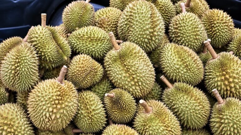 GAVROCHE ÉCO – ÉDITORIAL : Achetez mon durian, il est beau mon durian !
