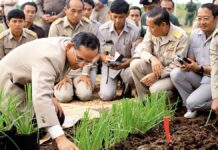 Rama IX environnement rural