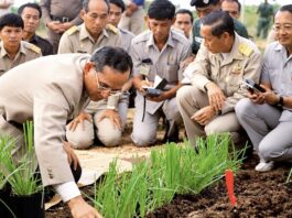 Rama IX environnement rural