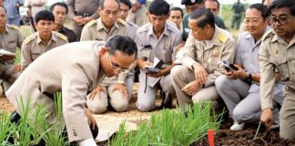 Rama IX environnement rural
