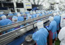 THAÏLANDE – ÉCONOMIE : Que prépare le géant thaïlandais derrière Petit Navire ? usine Thai Union