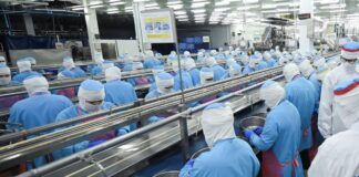 THAÏLANDE – ÉCONOMIE : Que prépare le géant thaïlandais derrière Petit Navire ? usine Thai Union